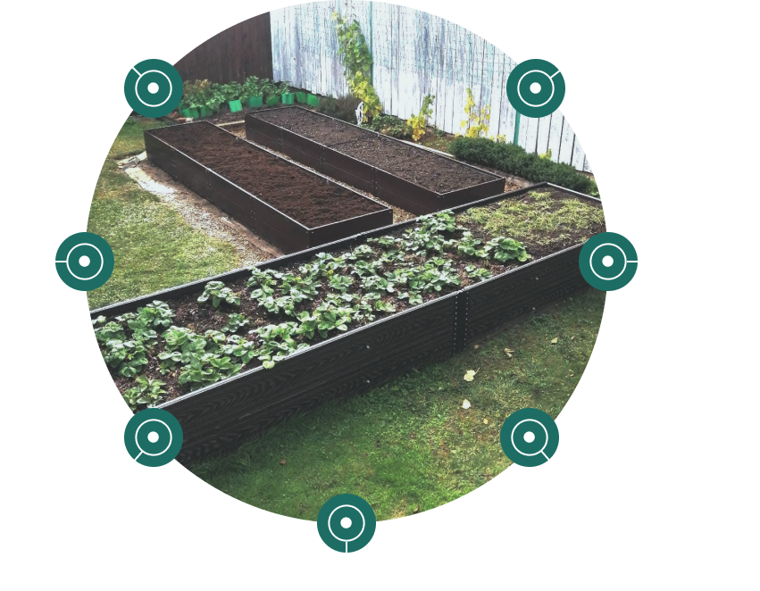 грядки из доски дпк