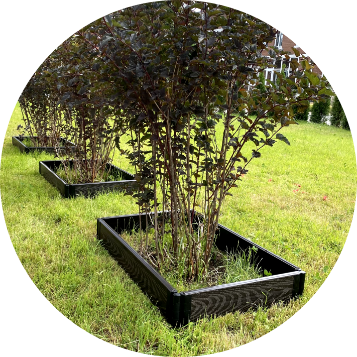 грядки из дпк отзывы